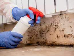 Best Basement Mold Removal  in West Point, GA